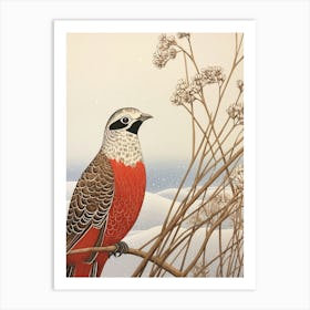 Bird Illustration Pheasant 4 Art Print