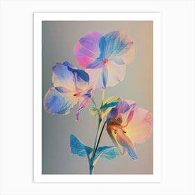 Iridescent Flower Impatiens 1 Art Print