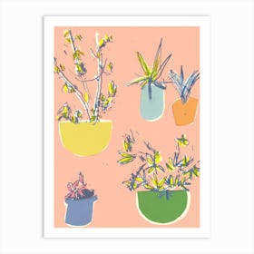 Plants On The Terrace Art Print