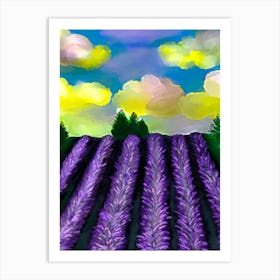 Lavender Field Art Print