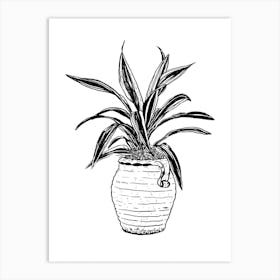 Dracaena Art Print