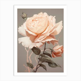 Floral Illustration Rose 3 Art Print