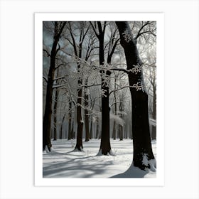 Winter Forest 5 Art Print