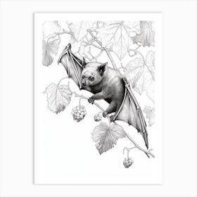 Fruit Bat Drawing 1 Art Print