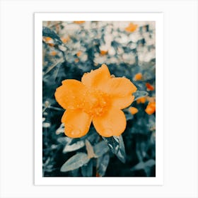 Orange Flower Art Print