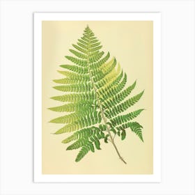 Vintage Illustration Maidenhair Fern 3 Art Print