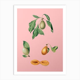 Vintage Prune Botanical on Soft Pink n.0568 Art Print