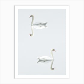 Mirror Swans Art Print