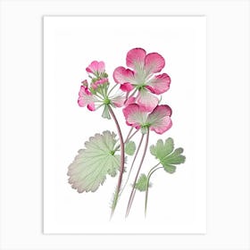 Geranium Floral Quentin Blake Inspired Illustration 1 Flower Art Print