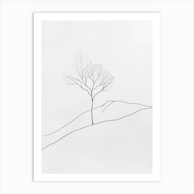 Lone Tree Art Print