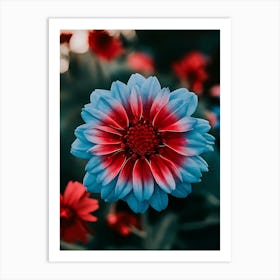 Blue And Red Flower Art Print