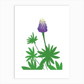 Purple Lupin Flower Art Print