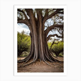 Tree Of Life Art Print