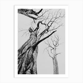 Trees Art Print