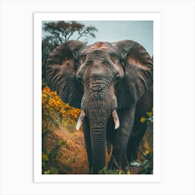 Elephant In The Wild 1 Art Print