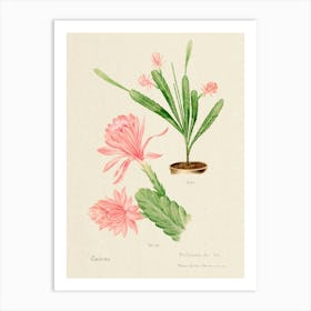 German Empress Cactus, Familie Der Cacteen Art Print