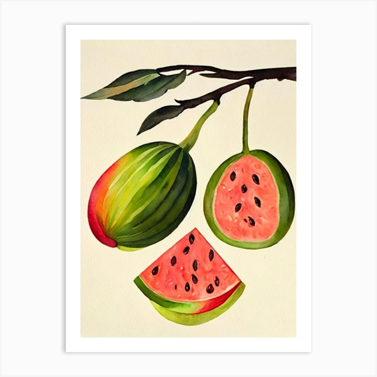 Watermelon Watercolour Fruit Painting Fruit Art Print by The Fruitery