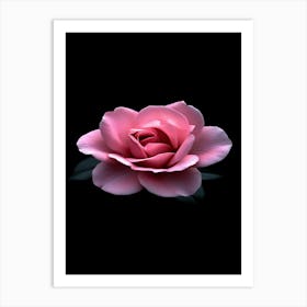 Pink Rose On Black Background 13 Art Print