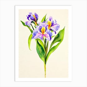 Iris Vintage Flowers Flower Art Print