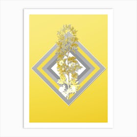 Botanical Cuspidate Rose in Gray and Yellow Gradient n.040 Art Print