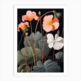 Flower Illustration Nasturtium 3 Art Print