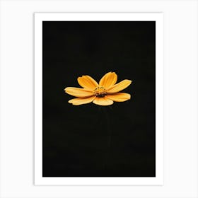 Single Yellow Flower 24 Art Print