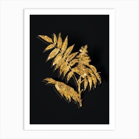 Vintage Staghorn Sumac Botanical in Gold on Black n.0124 Art Print