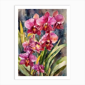 Lycaste Orchids Water Colour 1 Art Print