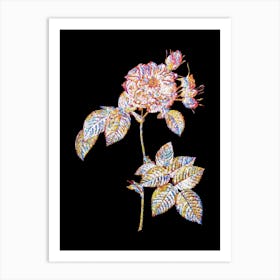 Stained Glass Pink Francfort Rose Mosaic Botanical Illustration on Black Art Print