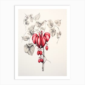 Bleeding Hearts Flower Vintage Botanical 0 Art Print