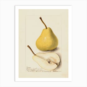 Pears 6 Art Print