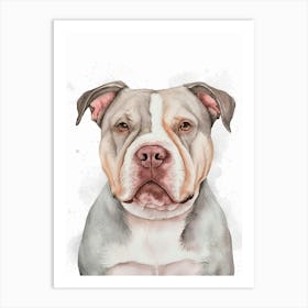 Pit Bull Terrier Art Print