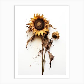 Dead Sunflower 1 Art Print