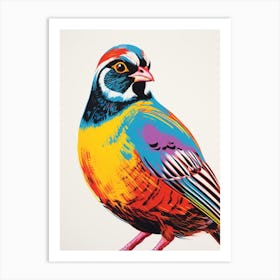 Andy Warhol Style Bird Partridge 3 Art Print