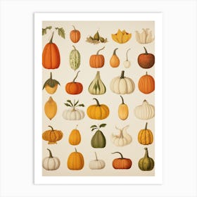 Vintage Style Pumpkin Drawing 5 Art Print