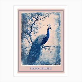 Blue & White Peacock On A Tree Cyanotype Poster Art Print