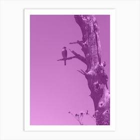 Amethyst Falcon Art Print