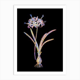 Stained Glass Guernsey Lily Mosaic Botanical Illustration on Black n.0004 Art Print