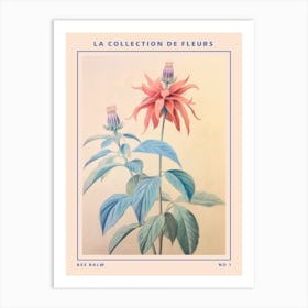Bee Balm French Flower Botanical Poster Art Print
