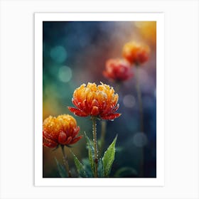 Chrysanthemums Art Print