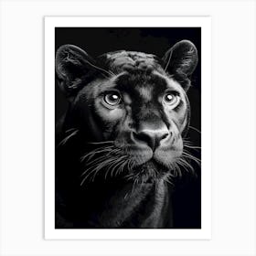 Portrait Of A Panther Art Print