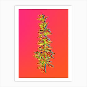 Neon Rosemary Botanical in Hot Pink and Electric Blue n.0165 Art Print