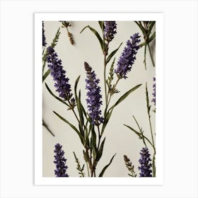 Lavender Flowers Art Print