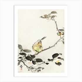 Bunting On Blossom Branch (1900 1930), Ohara Koson Art Print