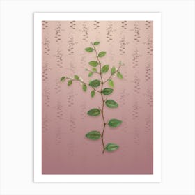 Vintage Christ's Thorn Botanical on Dusty Pink Pattern n.0270 Art Print