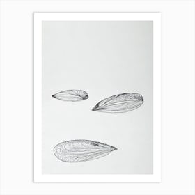 Mussels Black & White Drawing Art Print