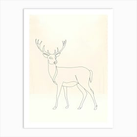 Deer Drawing Póster