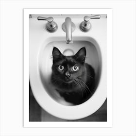 Black Cat In A Sink Art Print