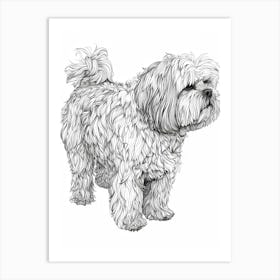 Coton De Tulear Dog Line Sketch 2 Art Print