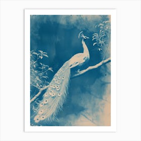 Peacock In The Tree Cyanotype Inspired 2 Art Print